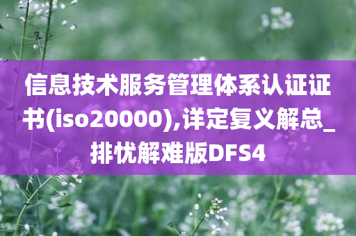 信息技术服务管理体系认证证书(iso20000),详定复义解总_排忧解难版DFS4