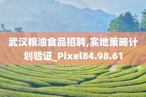 武汉粮油食品招聘,实地策略计划验证_Pixel84.98.61