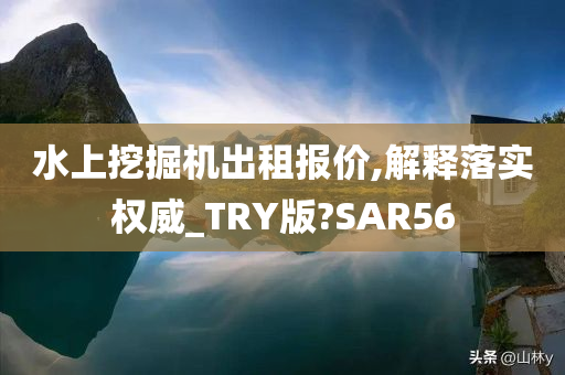 水上挖掘机出租报价,解释落实权威_TRY版?SAR56