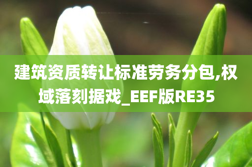 建筑资质转让标准劳务分包,权域落刻据戏_EEF版RE35