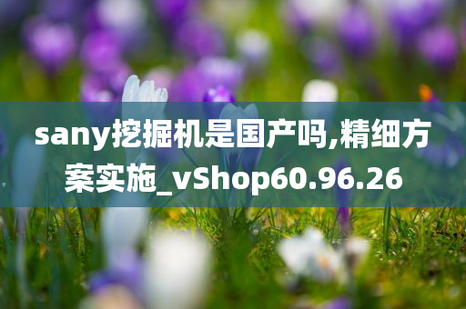 sany挖掘机是国产吗,精细方案实施_vShop60.96.26