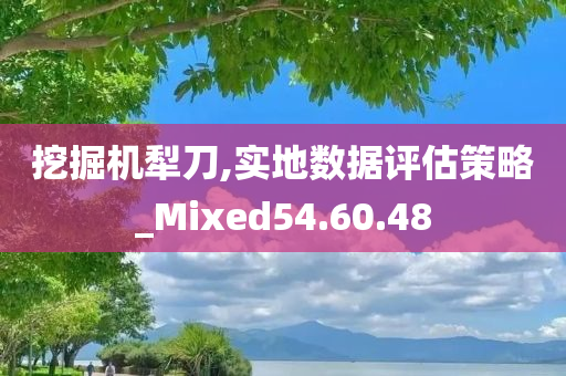 挖掘机犁刀,实地数据评估策略_Mixed54.60.48