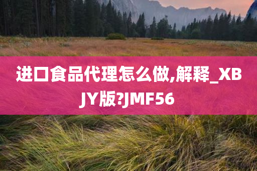 进口食品代理怎么做,解释_XBJY版?JMF56