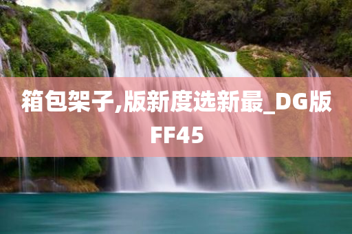 箱包架子,版新度选新最_DG版FF45