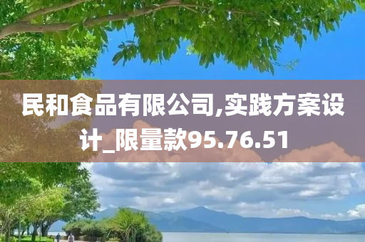 民和食品有限公司,实践方案设计_限量款95.76.51