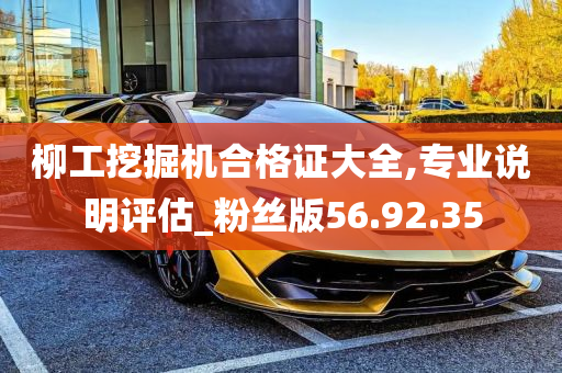 柳工挖掘机合格证大全,专业说明评估_粉丝版56.92.35