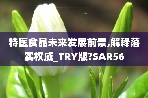 特医食品未来发展前景,解释落实权威_TRY版?SAR56