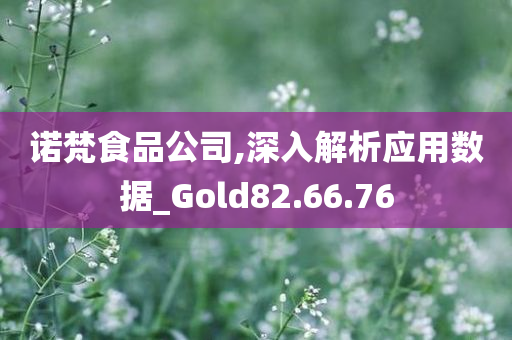 诺梵食品公司,深入解析应用数据_Gold82.66.76