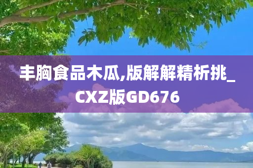 丰胸食品木瓜,版解解精析挑_CXZ版GD676