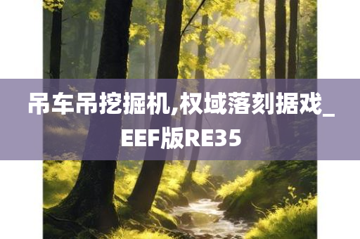 吊车吊挖掘机,权域落刻据戏_EEF版RE35