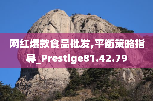 网红爆款食品批发,平衡策略指导_Prestige81.42.79