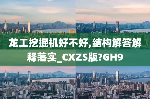 龙工挖掘机好不好,结构解答解释落实_CXZS版?GH9