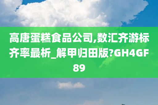 高唐蛋糕食品公司,数汇齐游标齐率最析_解甲归田版?GH4GF89