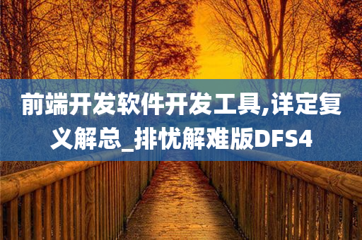 前端开发软件开发工具,详定复义解总_排忧解难版DFS4