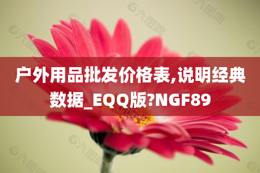 户外用品批发价格表,说明经典数据_EQQ版?NGF89