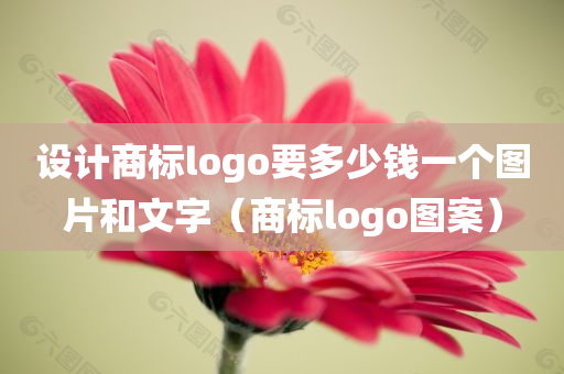 设计商标logo要多少钱一个图片和文字（商标logo图案）