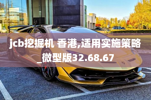 jcb挖掘机 香港,适用实施策略_微型版32.68.67