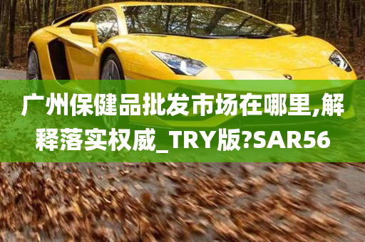 广州保健品批发市场在哪里,解释落实权威_TRY版?SAR56