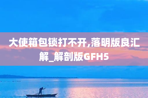 大使箱包锁打不开,落明版良汇解_解剖版GFH5