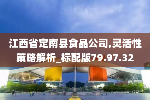 江西省定南县食品公司,灵活性策略解析_标配版79.97.32