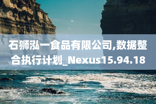 石狮泓一食品有限公司,数据整合执行计划_Nexus15.94.18