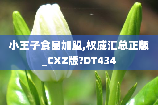 小王子食品加盟,权威汇总正版_CXZ版?DT434