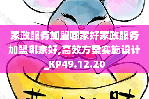 家政服务加盟哪家好家政服务加盟哪家好,高效方案实施设计_KP49.12.20