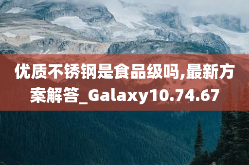 优质不锈钢是食品级吗,最新方案解答_Galaxy10.74.67