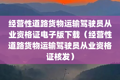 经营性道路货物运输驾驶员从业资格证电子版下载（经营性道路货物运输驾驶员从业资格证核发）