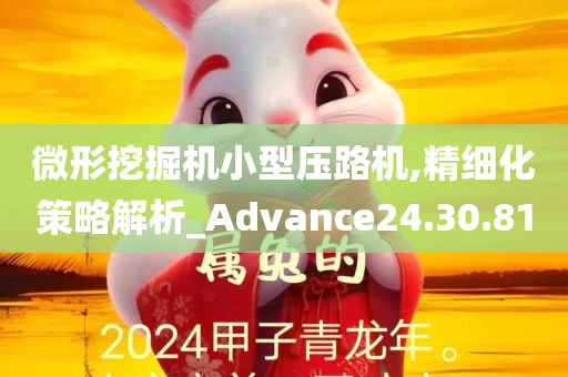 微形挖掘机小型压路机,精细化策略解析_Advance24.30.81