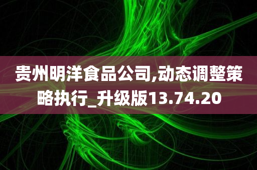 贵州明洋食品公司,动态调整策略执行_升级版13.74.20