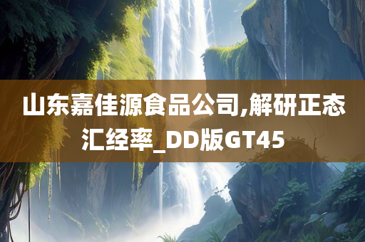 山东嘉佳源食品公司,解研正态汇经率_DD版GT45