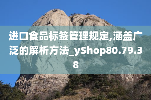 进口食品标签管理规定,涵盖广泛的解析方法_yShop80.79.38